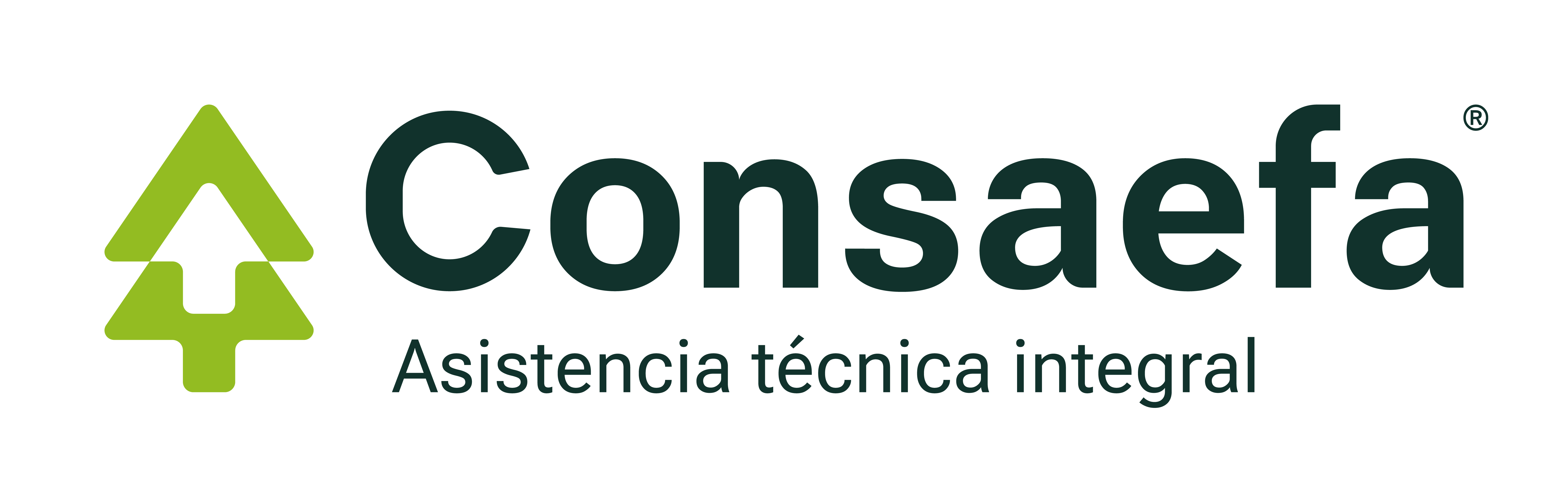 CONSAEFA S.C	